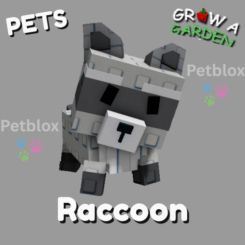 Racoon | Grow A Garden