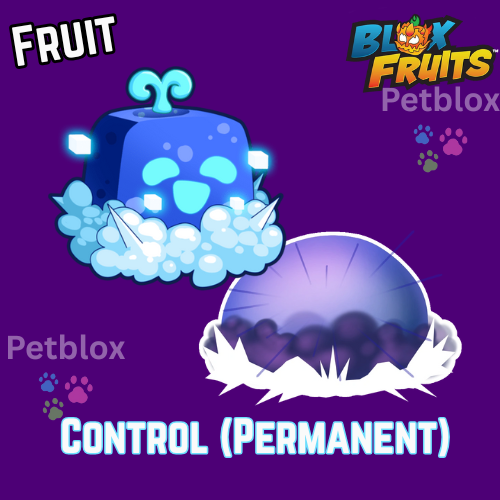 Control Fruit (perma) | Bloxfruits